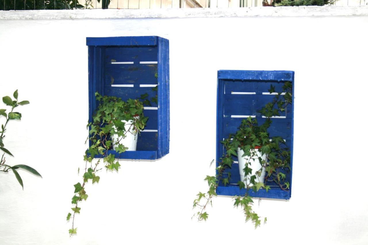 Willkommen In Einem Private Garden Bari Exteriér fotografie