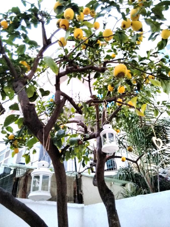 Willkommen In Einem Private Garden Bari Exteriér fotografie