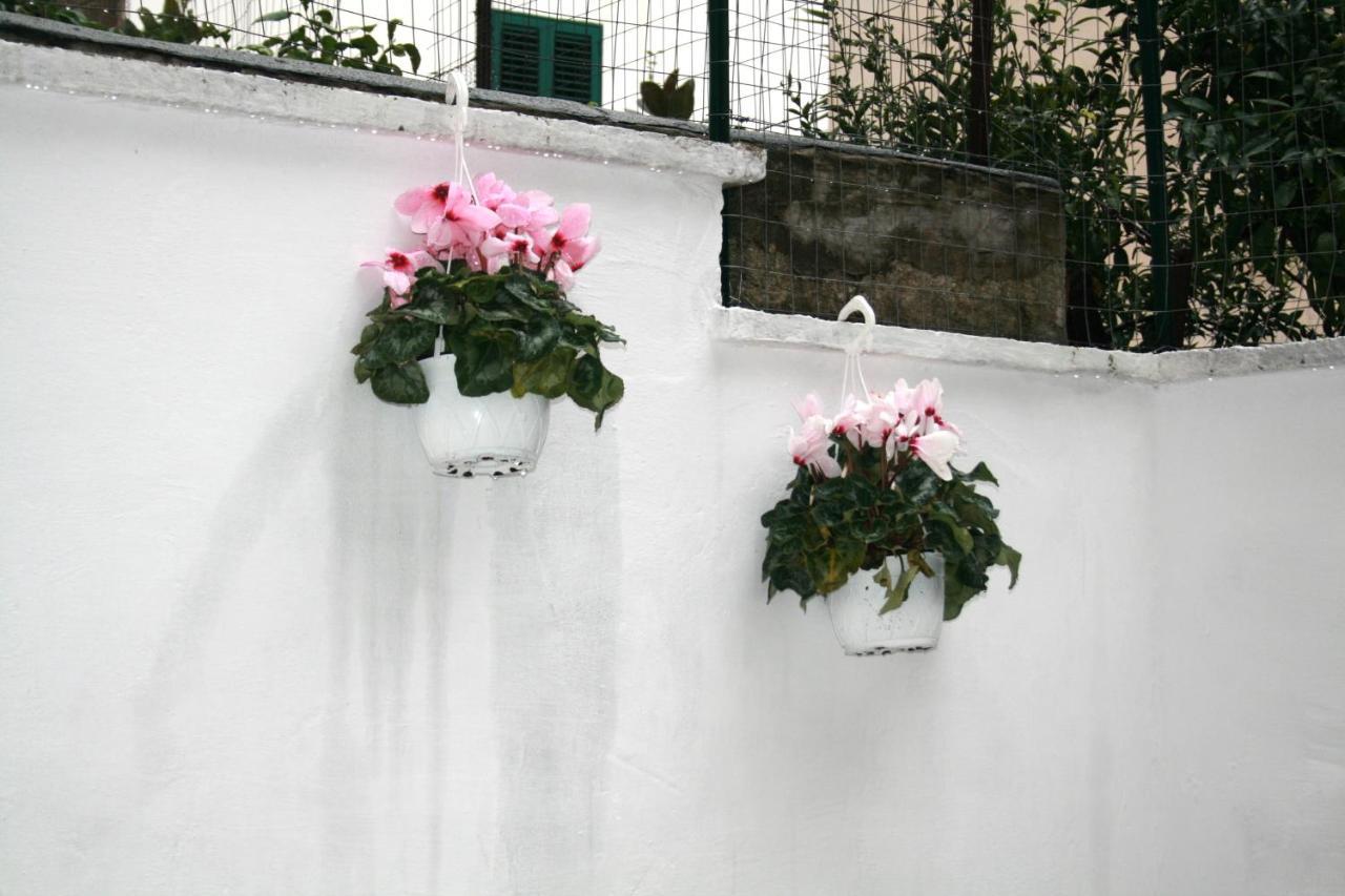 Willkommen In Einem Private Garden Bari Exteriér fotografie